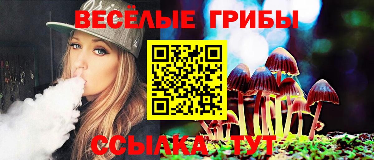 Галлюциногенные грибы Psilocybine cubensis  Вход с VPN  Стрежевой 